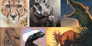 (A) cheetah by Charon Henning; (B) Tag Team Mutualists warthog and mongoose by Mary Casillas; (C) Thylacine by Olivia Pellicer; (D) red squirrel by Charon Henning; (E) honey badger by Charon Henning; (F) moose by Valeria Pellicer; 