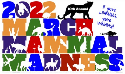 March Mammal Madness colorful graphic