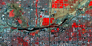 Multi-spectral false-color composite image highlighting areas of vegetation (in red) in the Phoenix metropolitan region. The Salt River winds through the center of the image.
