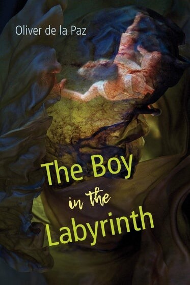 Cover of The Boy in the Labyrinth by Oliver de la Paz