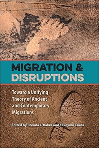 Migration and Disruptions book cover