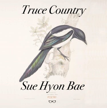 Cover of Truce Country by Sue Hyon Bae with illustration of bird on it