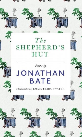 Cover of The Shepherd's Hut by Jonathan Bate