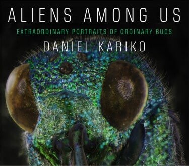Book cover with close up photo of insect on it