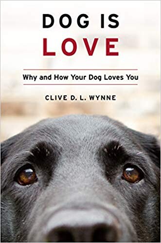 Book cover of Dog is Love by Clive Wynne