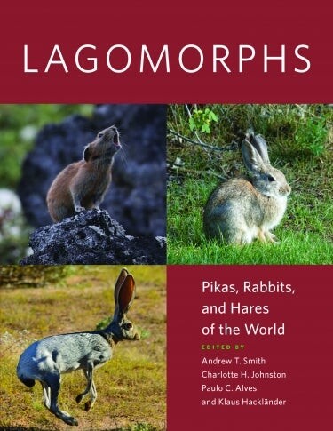 book cover with images of rabbit-related animals