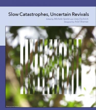 Cover of Slow Catastrophes, Uncertain Revivals edited by Michele Speitz and Joey Eschrich