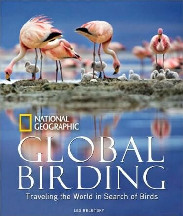 Cover of "Global Birding" featuring a photo of flamingos and baby flamingos