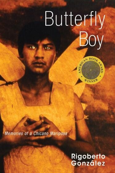 Cover of "Butterfly Boy" featuring a boy with wings