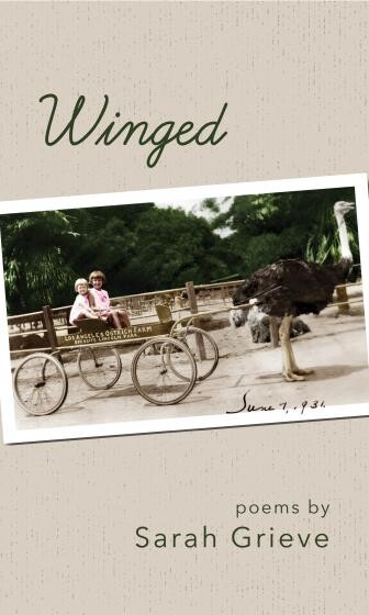 Cover of Winged by Sarah Grieve
