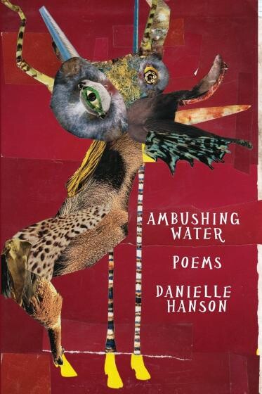 Cover of Ambushing Water by Danielle Hanson