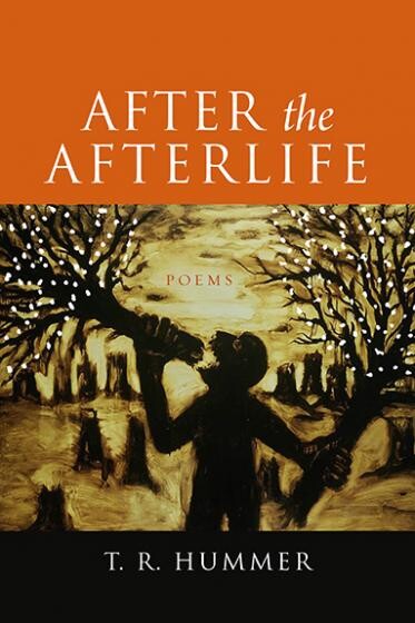 Cover of After the Afterlife by T.R. Hummer