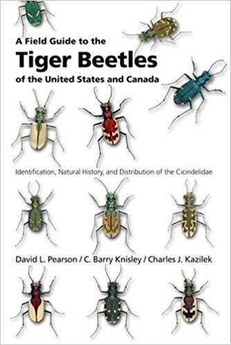 Cover of "A Field Guide to the Tiger Beetles of the United States and Canada" featuring various types of tiger beetles on a white background