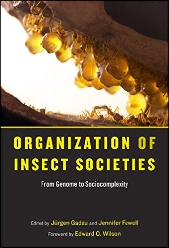 Cover of "Organization of Insect Societies" featuring ants and larvae
