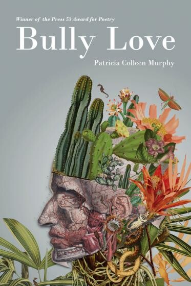 Cover of Bully Love by Patricia Colleen Murphy