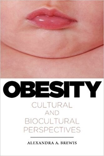 Obesity book cover image