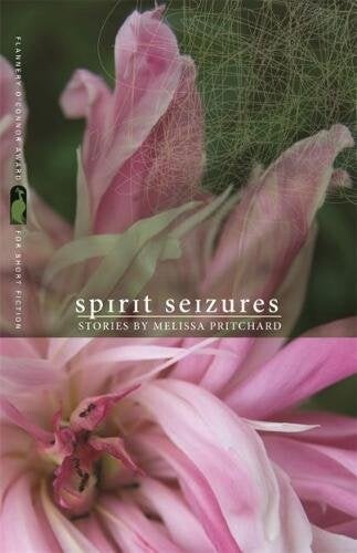 Cover of Spirit Seizures
