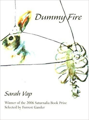 Cover of "Dummy Fire"