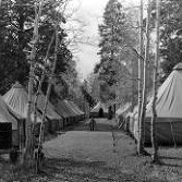 [CCC Company 818 Tents]