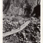 Ernst Stolper - German Boy - on Bridge Near Phantom Ranch, Grand Canyon - May 1929