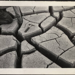 Mud cracks in Lake Mead mud near Reference Point Canyon [Oct. 1937]
