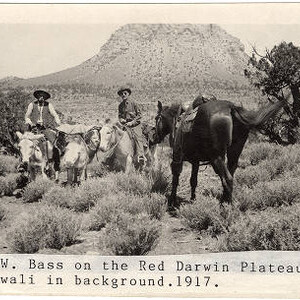 W.W. Bass on the Red Darwin Plateau Below Mt. Huethawali in background, 1917