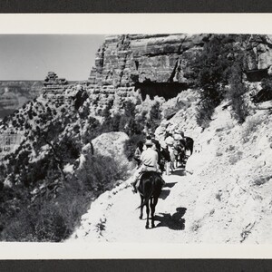 Black and white print of people riding mules down a steep trail.