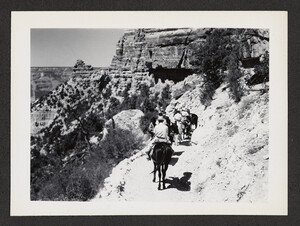 Black and white photograph of a party of six tourists riding mules down the Bright Angel Trail. The image is taken from behind the party on the trail and canyon scenery is visible above and to the left of the group.