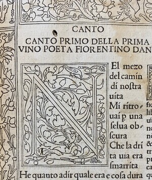 Inferno Canto Detail