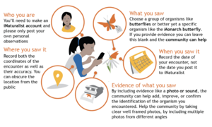  Infographic on how to document biodiversity observations using iNaturalist
