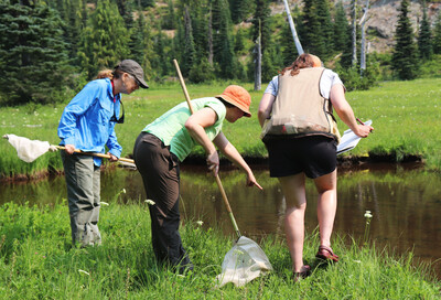 Citizen science coordinator and volunteers spot a frog in a pond.