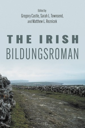 Book cover of "The Irish Bildungsroman" with an image of a rocky coastal landscape.